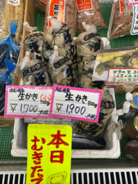 浜名湖産生カキ 2023/02/26 09:28:02