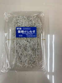 しらす漁 2023/05/01 17:52:07