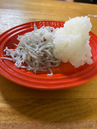 しらす漁休漁 2023/05/25 11:06:07