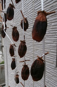 年末年始のお知らせ・・・