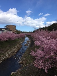 茨城クラフトフェア中止のお知らせ・・・