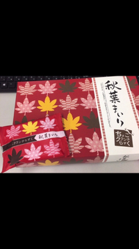 秋葉まいり 2019/12/08 21:25:50