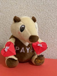 我が家にパヤがやって来た♥ 2019/02/13 11:33:00