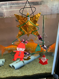 金魚の水槽にもクリスマスツリー▲ 2018/12/14 17:32:38