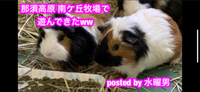 那須に行ってきました(๑･̑◡･̑๑) 2019/10/13 22:52:53