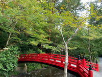 紅葉はまだでした 2019/11/07 23:52:01