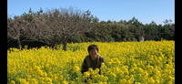 黄色の菜の花パワーで充電٩(๑❛ᴗ❛๑)۶ 2020/02/29 20:58:23