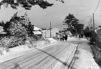 ２０年前の雪の姫街道