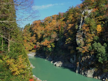 新年のご挨拶