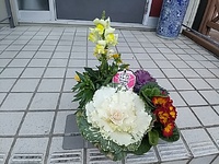 箱根駅伝往路 2024/01/02 17:31:27