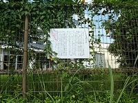 姫街道フィールドワーク 2022/11/11 23:12:24