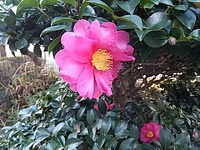 東北は復興したの？ 2022/12/14 23:37:24