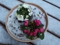 滑っちゃいました 2023/01/25 10:42:25