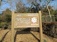 コトコトコットン 2023/02/09 23:08:27