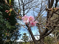 灯油上がった 2023/03/08 22:14:20