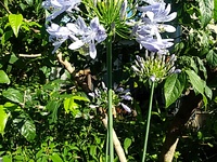 梅雨の晴れ間に 2023/06/08 11:08:38