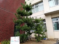 葵西小学校姫まつ講座開催 2023/09/26 18:02:24