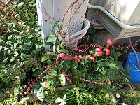 ありがとう、浜松タクシーさん 2023/11/12 16:48:04