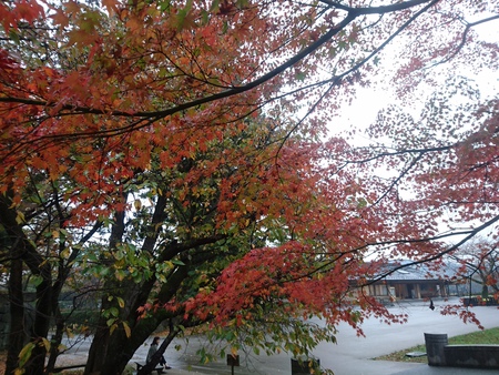 金沢旅行！7