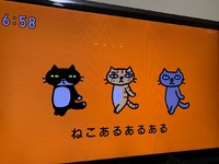 今日はスーパー猫の日です(=^・^=)