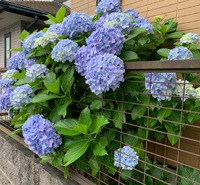 ◎今日は６月６日ですね◎