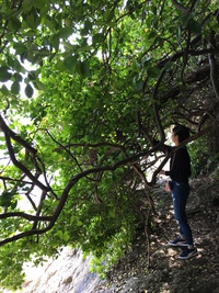 新学期 2018/04/05 11:22:39