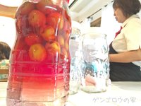 別の企画も検討中です 2016/06/23 18:44:29