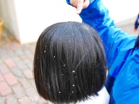 雪が舞い降りた日から 2016/01/26 10:46:49
