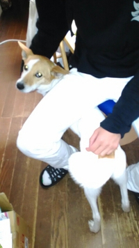 ビビりのべる 2016/04/13 20:01:02