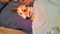 二年半ぶり？ 2016/11/10 19:58:49