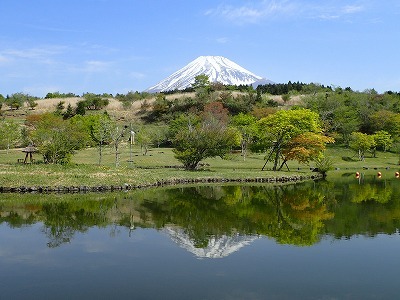 富士山こどもの国で自然教室