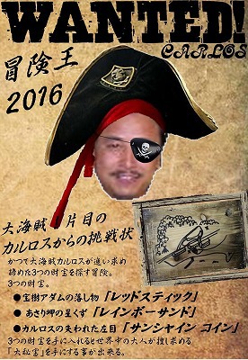 フェスティバルについて③