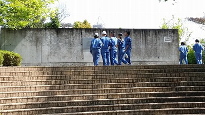 本日の三ケ日