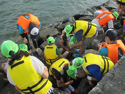 浜名湖いきいき発見の里【クラフト、湖岸観察・かに釣り】