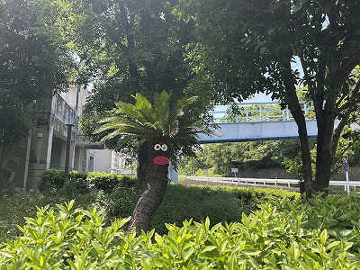 新しい仲間
