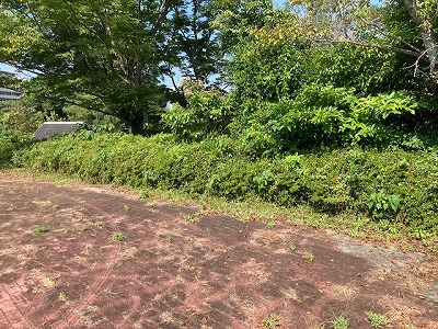 本日の三ケ日