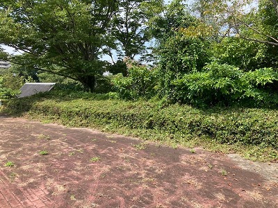 本日の三ケ日