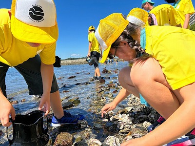浜名湖いきいき発見の里　【湖岸観察】