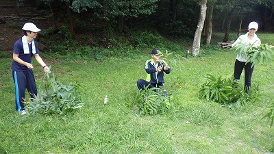 本日の三ケ日