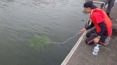 本日の三ケ日