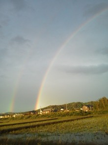 雨上がりに