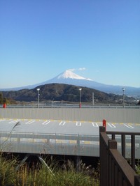 総選挙