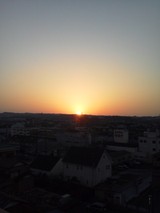 新年