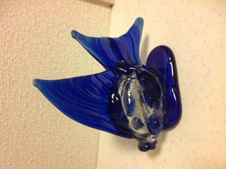 魚