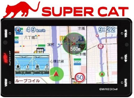 ブルーインパルス飛来