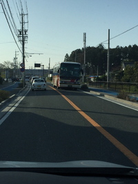 楽しい季節です⁈ 2018/03/30 11:54:26