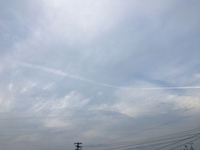 明日の昼の営業は、 2019/09/27 16:56:10