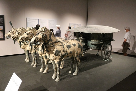 静岡県立美術館　紀元前２００年　秦始皇帝の兵馬俑　見学へ