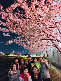 昨夜は夜桜ナイトラン