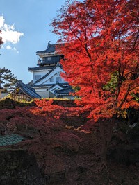岡崎城の紅葉2023